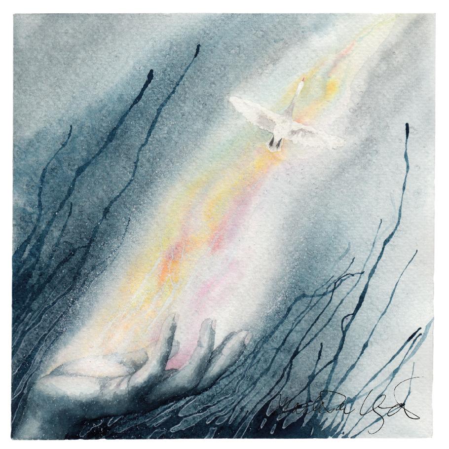 Ilustrátorka Markéta Vydrová
